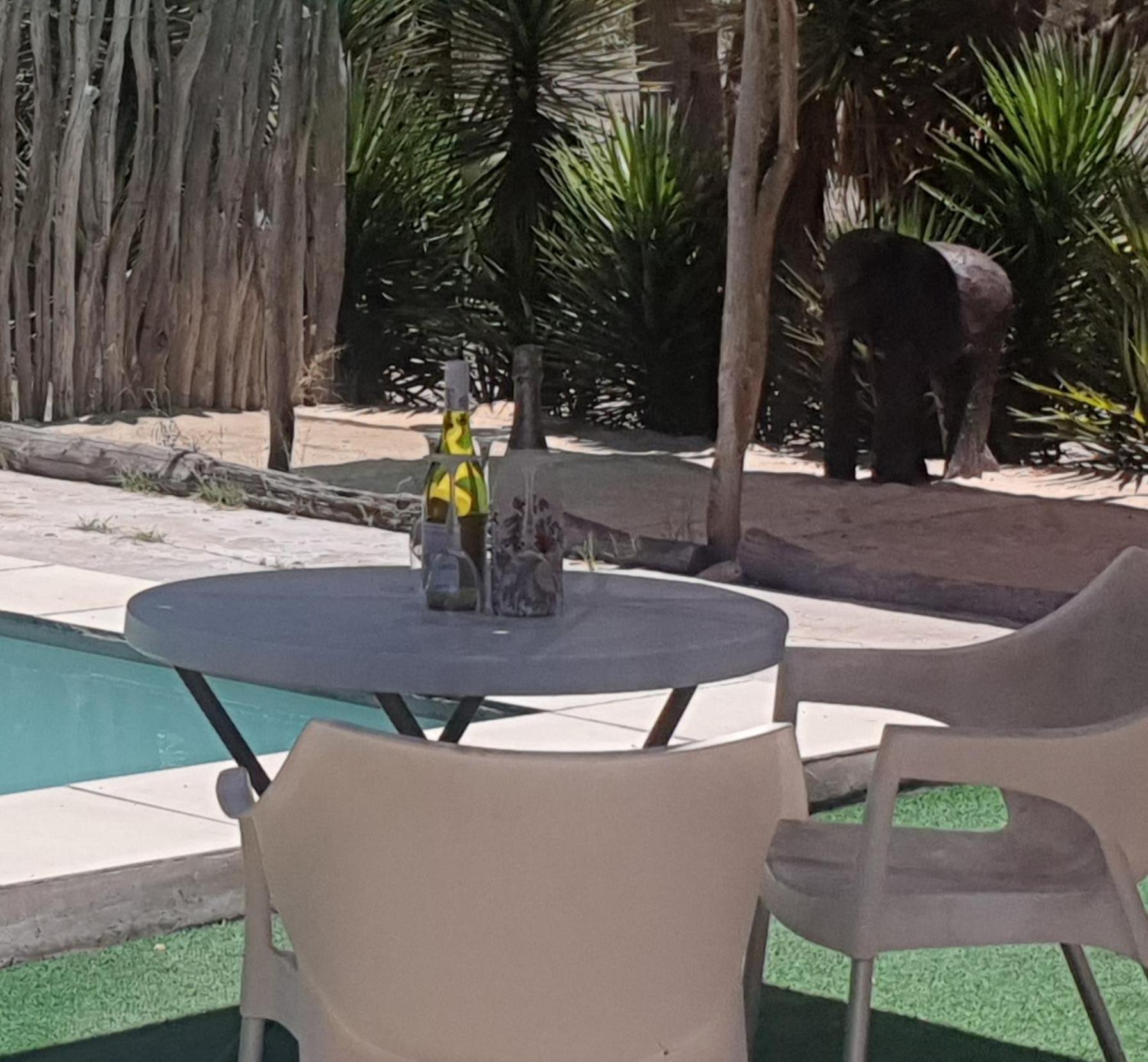 Paradise Camp Delux Rooms Grootfontein Extérieur photo
